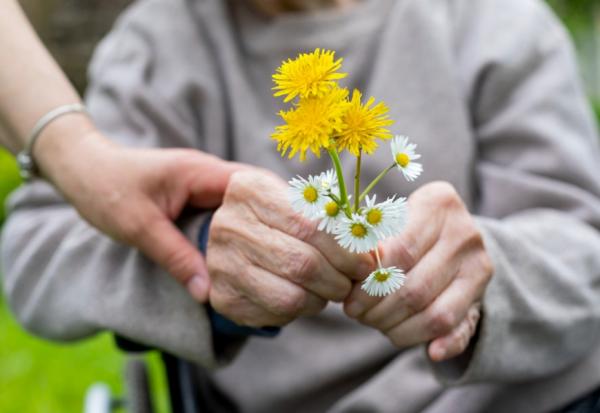 癌末母不知回天乏術，怨兒子「幫醫院催我早點走」！當醫師成為病人家屬，如何陪家人走過臨終？  