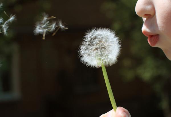 102歲獨身奶奶，為何活得比兒孫滿堂更快樂？關懷師：願望是生命中的星星，讓人失意時仍看見光亮