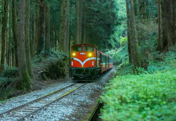 搭火車遊台灣，移動本身就是旅行！4條特色觀光列車路線，穿梭森林、看海、吃美食