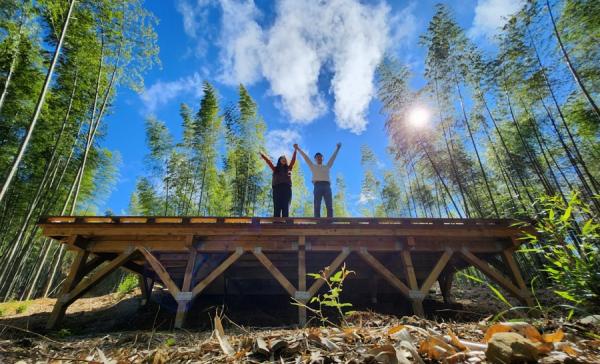 給自己一趟自然小旅行，還認識當地文化！永續旅遊怎麼玩？3大冬日景點推薦：雲林森林療癒、茂林賞紫蝶、和平島地質奇景