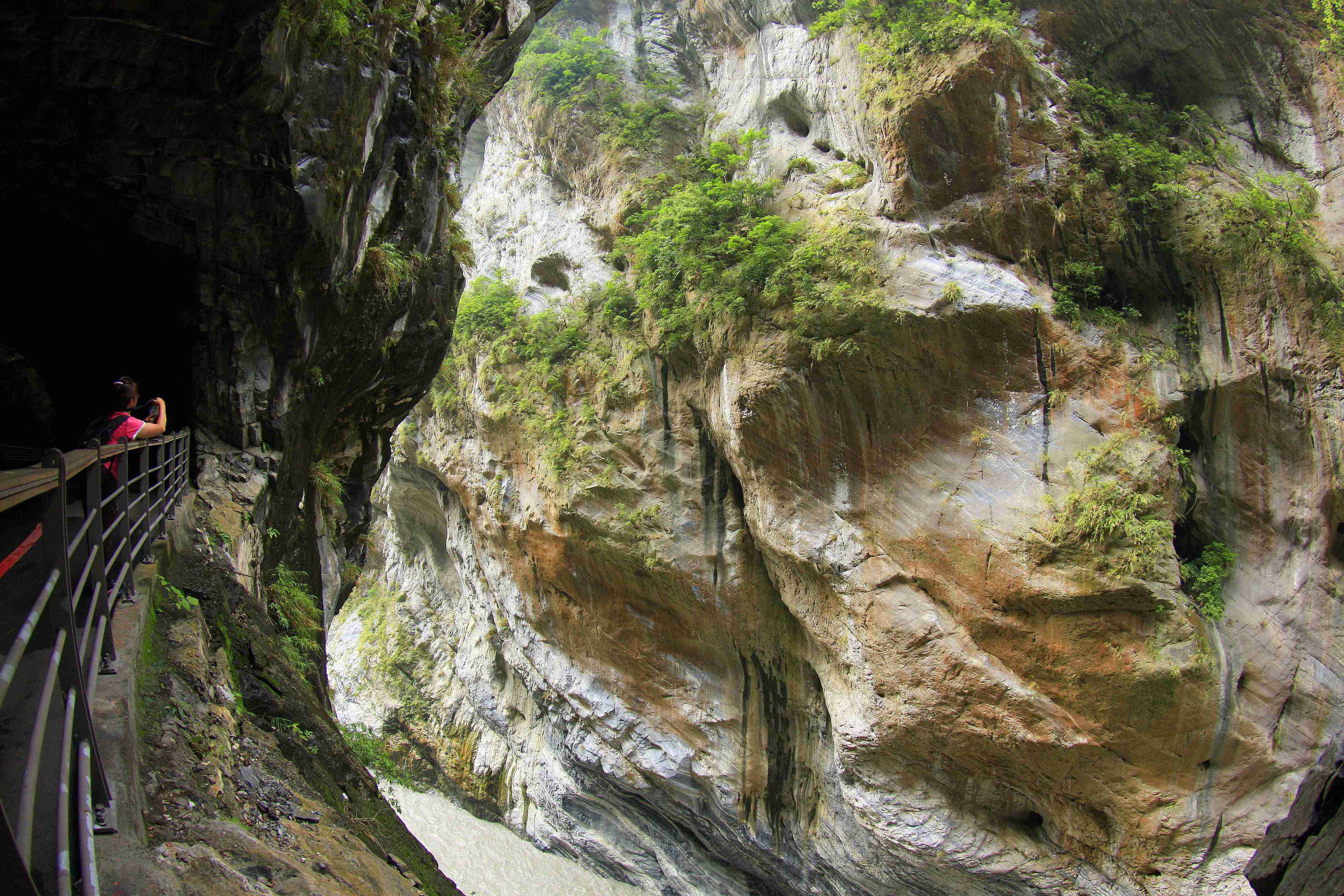 打破偏鄉醫療困境、成為東部生命磐石：花蓮慈濟醫院淬鍊四十載的「超仁」生命樂章