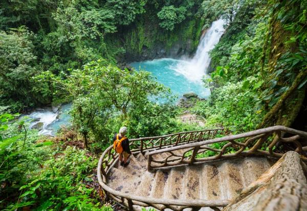 親近自然會健康，但多少劑量才夠？余家斌：4種森林療癒活動，減少憂鬱、降血壓、提升幸福感