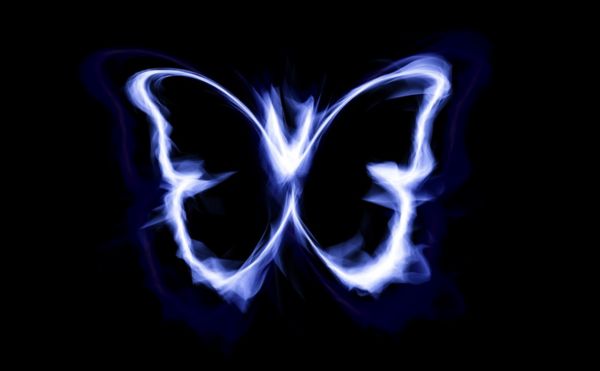 蝴蝶效應（Butterfly Effect）是什麼？歷史上的真實案例帶來巨大改變