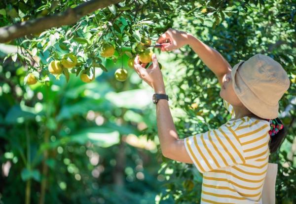 理想的退休不一定要做什麼，但每天都要比上班日愉快！過來人：做3件事，避免退休生活走鐘