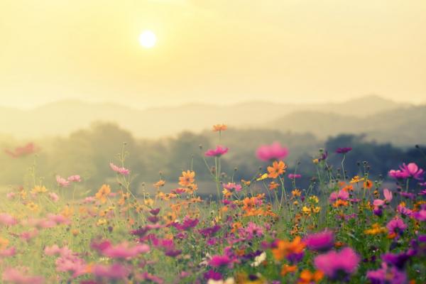 如何走出失去父母、配偶、寵物的悲傷？死亡學專家：非常時期該做的13件小事