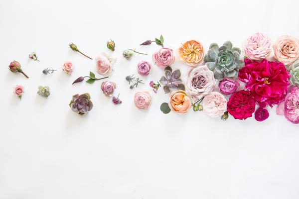 優雅老去測驗：老年就像照顧秋日花園，栽培方式決定收穫