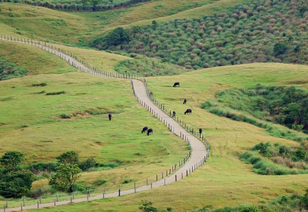 不用開車想行程，旅遊作家943：搭台灣好行玩國旅，15元起就能出發！