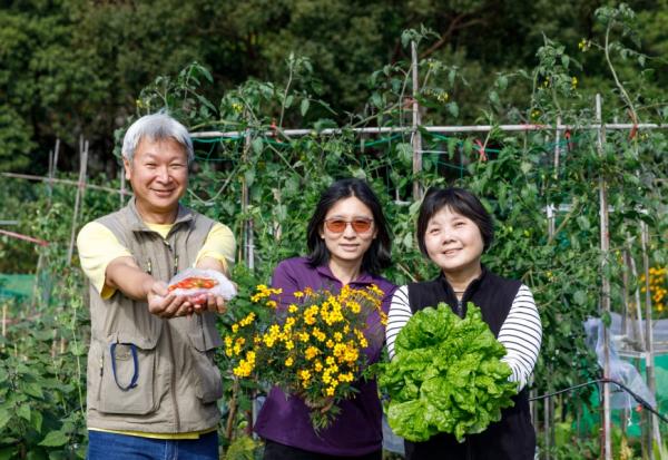 嚮往退休去鄉下種田，不一定要花大錢買地！大台北地區可體驗田園之樂的4個場域