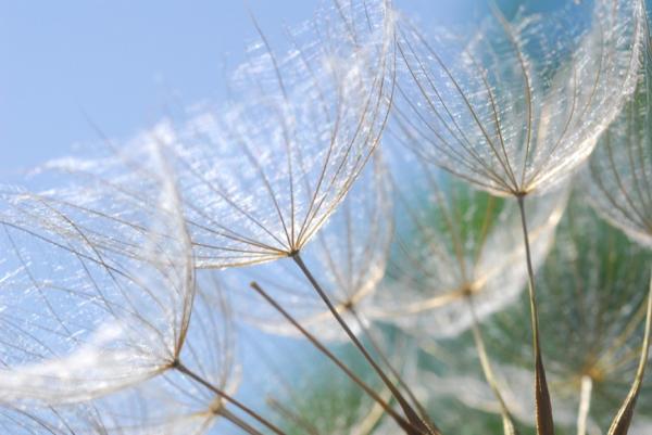 藏傳醫學中的每日10分鐘放鬆法：讓壓力來，讓壓力走