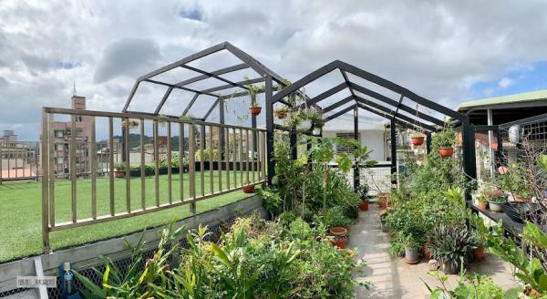 林黛羚專欄｜50後如何享受田園樂？租地農耕、頂樓變身，讓花草豐富五感