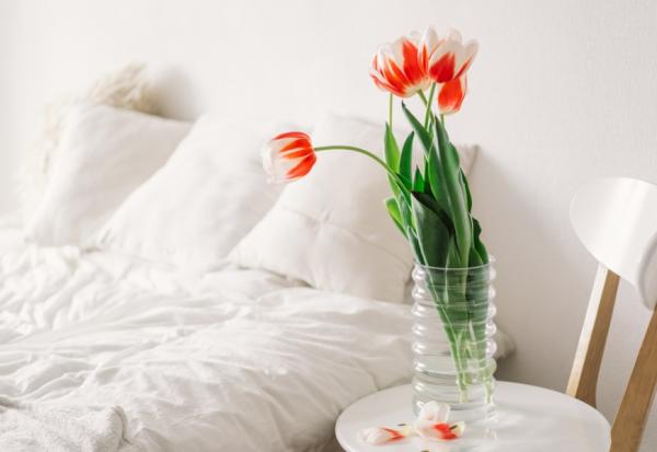 好友伴老母在家善終，沒送醫也沒插鼻胃管！陳志金：善終不需要有錢，只要有愛