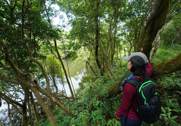 來健行吧！200年歷史的淡蘭古道：訪全台第一條手作步道、雞母嶺水梯田