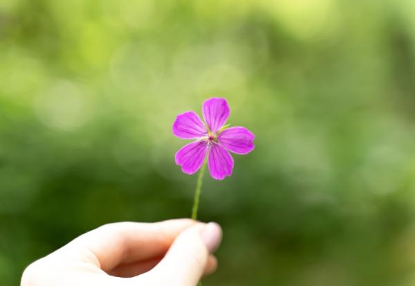 感情變淡，從總是回答「隨便」開始！成熟大人的體悟：迴避彼此矛盾，無法解決根本問題