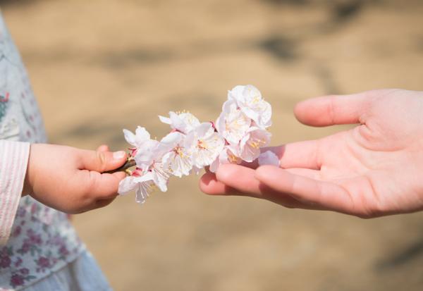 朋友親人過世，如何說安慰的話？蘇絢慧心理師：掌握3原則，避免好意變傷害