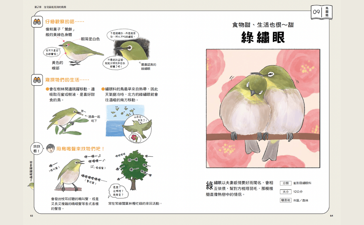 鳥類最佳模範夫妻！《可愛又真實！日常鳥生活》圖解綠繡眼如熱戀情侶般的「放閃」日常