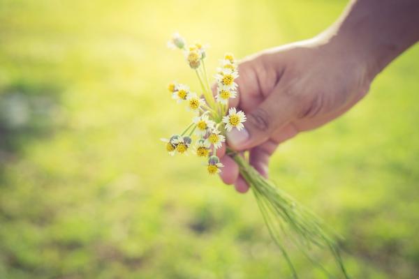50後遇事應請人幫忙，或盡量自己解決？你以為的理性，可能失了親密