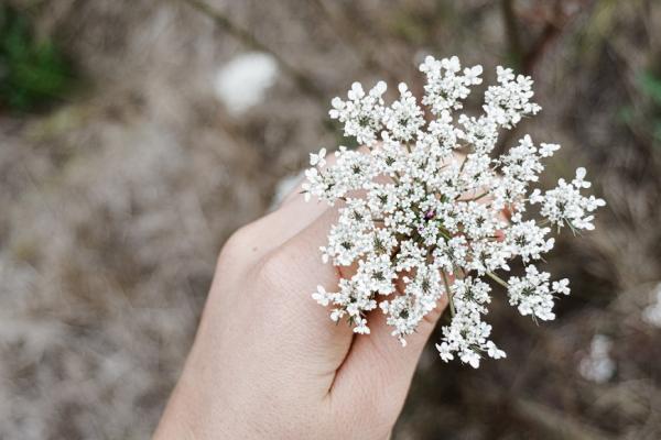怎麼陪伴失去所愛的人？認清每個人的悲傷沒有SOP，4個提醒走過平復之路