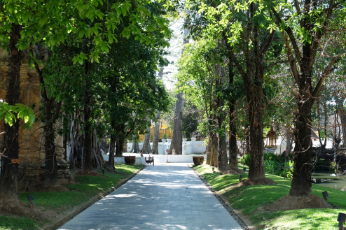 【律師娘專欄】預立安寧緩和醫療意願書，為自己預約一個善終