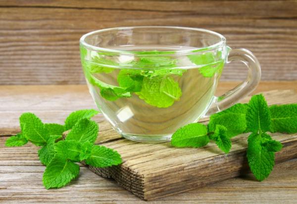 薄荷有抑制新冠病毒的潛力！台大醫師蘇大成：這樣泡薄荷茶，抑制病毒又消暑