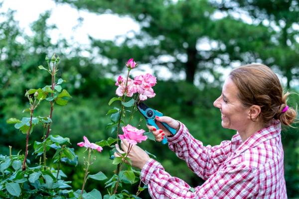 怎麼讓退休成為很優雅的事？翻轉4個觀念，過無憂日子