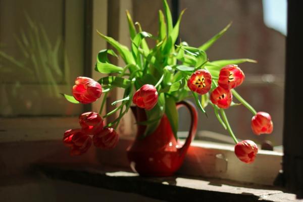 杜丞蕓專欄｜1/4中年女有更年期症狀！改善乾燥與疲累的飲食怎麼吃？