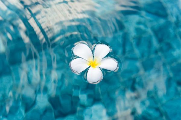 如何避免憂思傷身？中醫師：50後「情緒養生」的9個法則