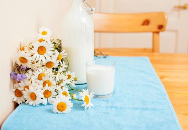 懶做家事也能優雅過日子！日本生活研究家一田憲子在50歲後放棄的事