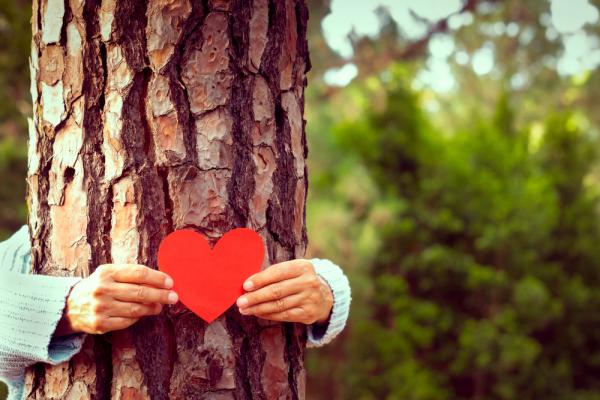 心理韌性值得投資！心理學家：平時就要存5種「正向情緒存款」，遇到挫折悲傷來襲時才有能力復原