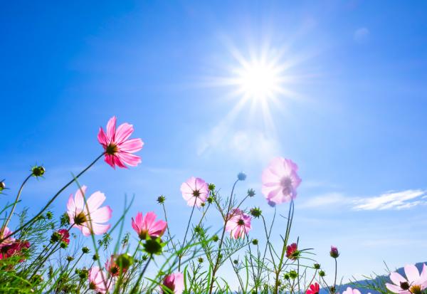 與你有關的服務｜不想插管延命，現在就要簽！50歲後必知的預立醫療決定是什麼？諮商費用多少？和DNR有什麼差異？