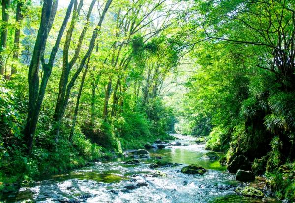 改善健康，到公園散步就有效！每週親近自然2小時的7個提案