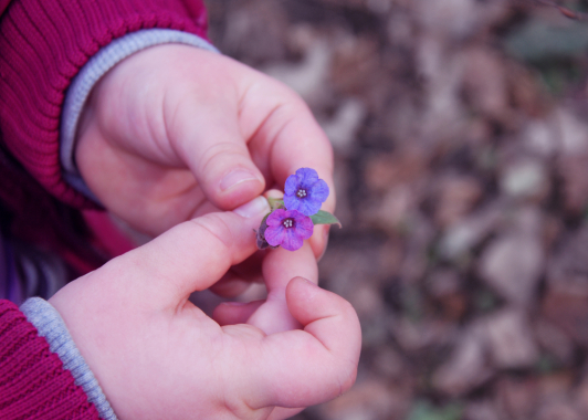 這一生，送給自己的最後一個禮物：尊嚴死