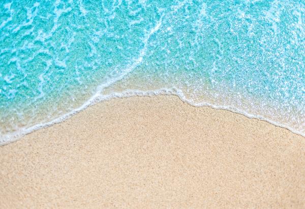 如何防止免疫系統老化？台大教授顧家綺：「不打擾」就是最好的保養