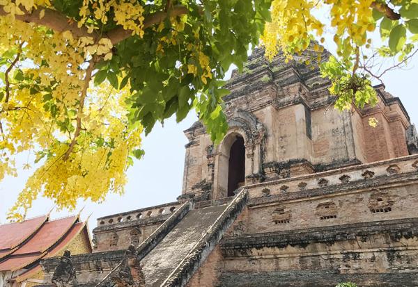 女子深度居遊提案｜到泰國清邁學泰式按摩，週末逛市集、河岸咖啡廳喝下午茶