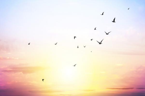 與自然融為一體的極致：什麼是天葬？