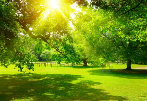 為何起床後要曬曬太陽？睡眠專家：培養睡眠5力，達到入眠、深眠、飽眠