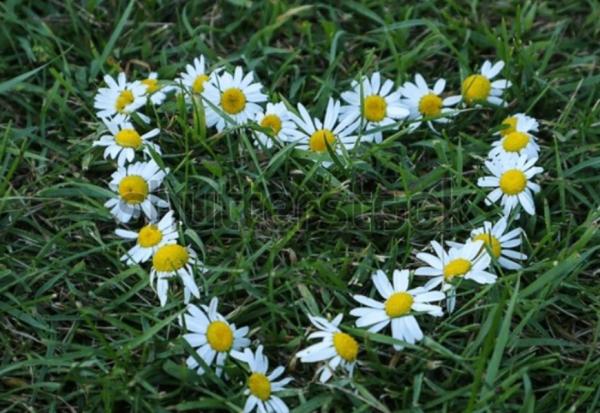 擔任告別式司儀，看遍家庭吵架、甚至租兩個廳！生死學教授李慧仁：美好告別，該有哪些SOP？