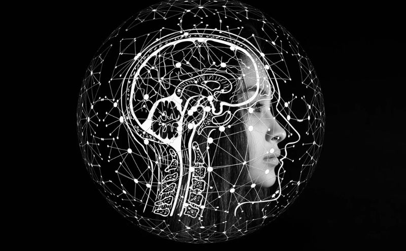 我們真的只用了10%的腦力？科學研究告訴你驚人事實！｜《大腦開竅手冊》