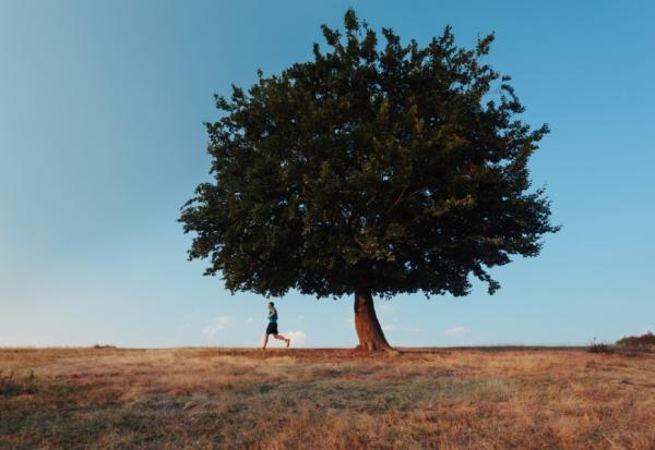 自認為家人努力打拼，卻與妻兒疏離、憤怒而終！無休無止奔跑，也該停下想想辛苦一輩子是為什麼？