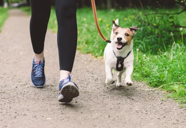 每天走路少於5千步，運動效果也會打折！坐著動動腿、沒事多走路有哪些意想不到的好處？