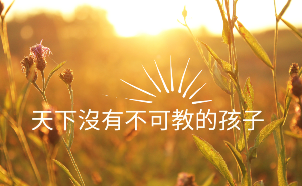 成績不是一切！《進步一點點，人生就會不一樣》：解決問題的能力，才是真正帶得走的知識
