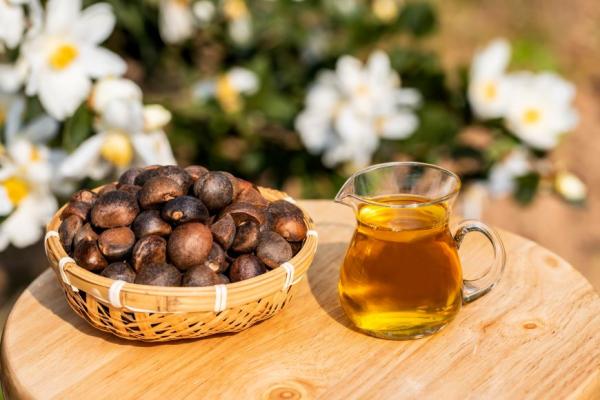 少油能長命百歲？營養師指出雷區：國人對油品攝取觀念有誤，兼顧3大特點為自己選擇好油