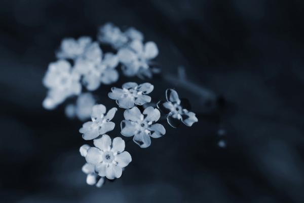 禮儀師：看遍無數葬禮，學到四件事讓此生不遺憾！