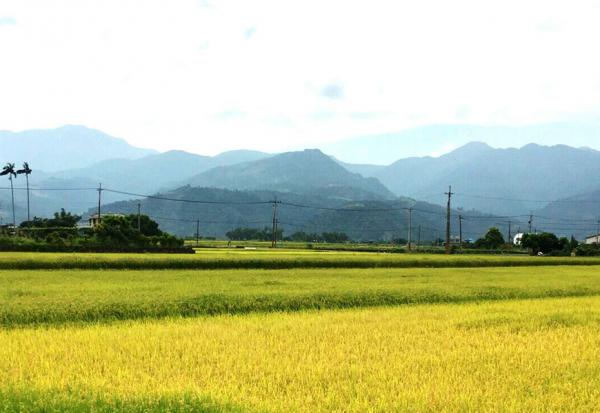 57歲搬回宜蘭，開一間有好書好食的小店！陳照旗：理想退休生活，家庭、休閒和貢獻專業各占1/3