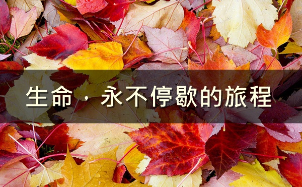 生命，永不停歇的旅程
