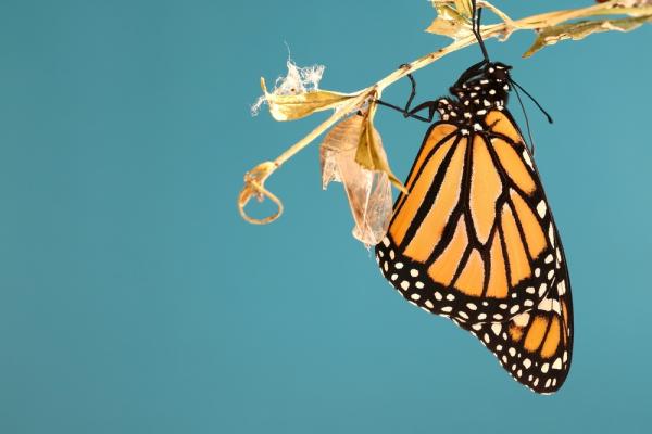 松浦彌太郎：步入40歲後，最好不要說的三句話