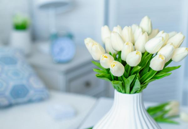 愛一個人，請讓他尊嚴離世！陳秀丹：孝順是讓父母臨終無障礙，  而非求生不得、求死不能