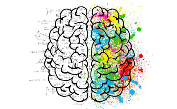 為什麼你總是心想著東、腦袋卻說著西？揭秘左腦右腦的四大人格｜《全腦人生》