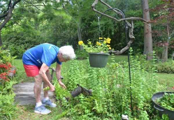 百歲開始短跑，105歲還能彎腰、電話響來得及跑回家接！史上最高齡百米賽跑女性跑者的健康秘訣
