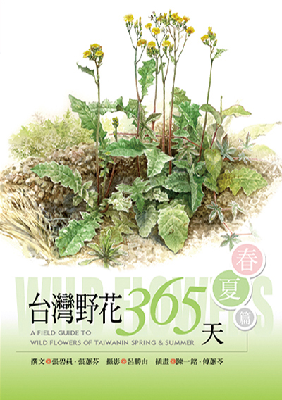 台灣野花365天－春夏篇