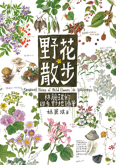 野花散步